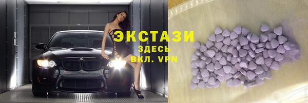 шишки Аркадак