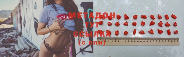 шишки Аркадак