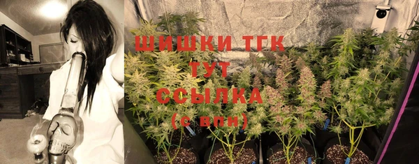 шишки Аркадак