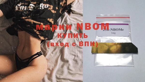 шишки Аркадак