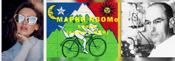 шишки Аркадак