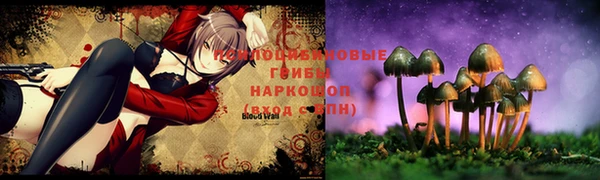 стафф Алексин