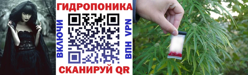 купить наркотики сайты  Лихославль  Шишки марихуана сатива 